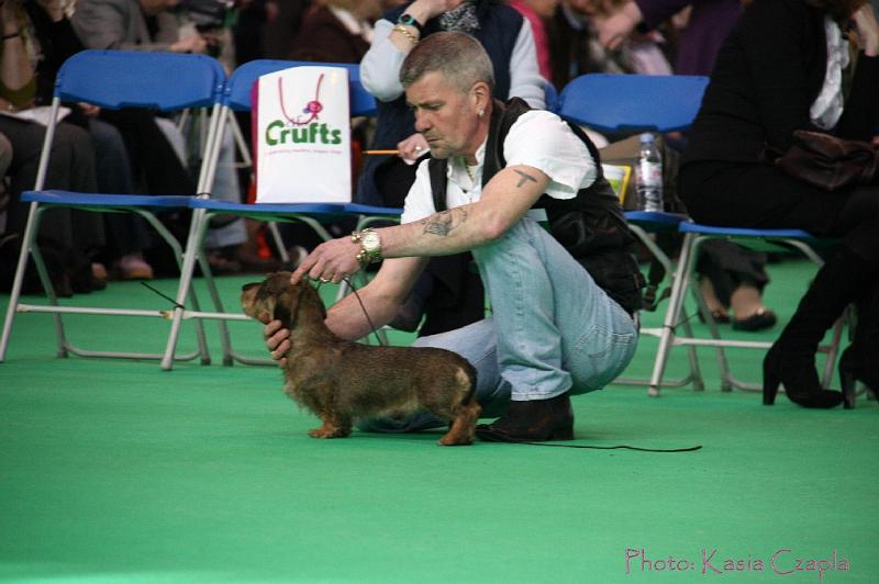 Crufts2011_2 648.jpg